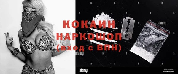 прущие грибы Каменск-Шахтинский