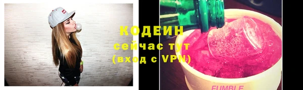 ешки Иннополис