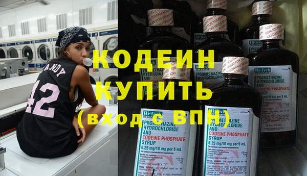 МДПВ Инсар