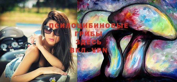 прущие грибы Каменск-Шахтинский