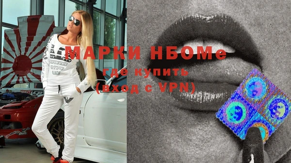 прущие грибы Каменск-Шахтинский