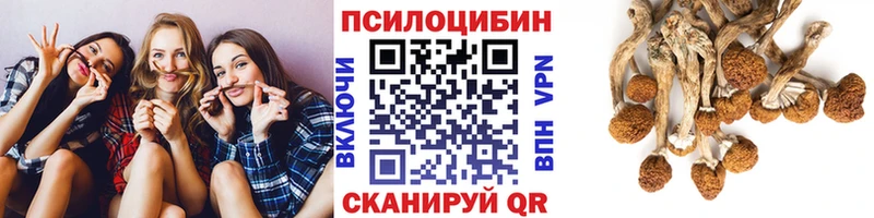 Купить закладки  Жердевка  Галлюциногенные грибы GOLDEN TEACHER 